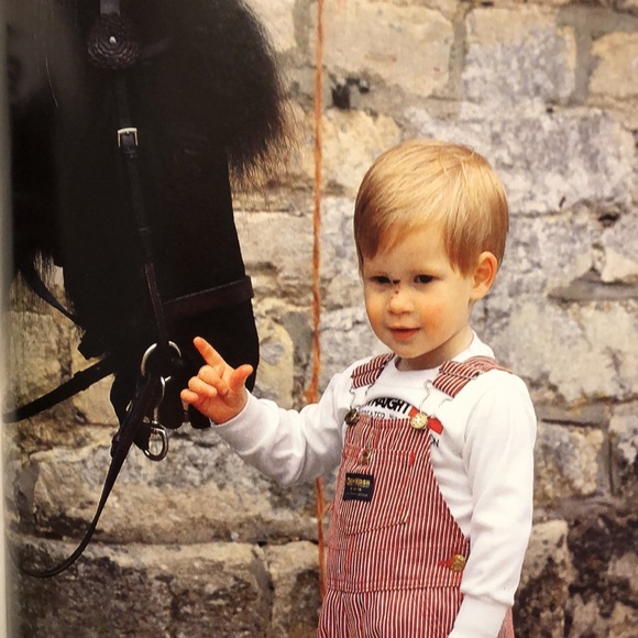 THE PRINCE AND PRINCESS OF WALES In Private In Public Vtg Hardcover Book 1986 - Picture 7 of 11